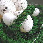 Zielone gniazdo z kryształową pajęczyną - 