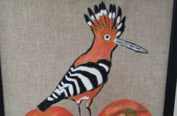 Dudek na pomarańczach/obraz/