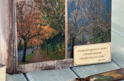Kufer w kształcie książki, dla miłośnika czytania