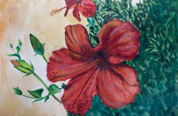Malowany kwiat hibiskusa