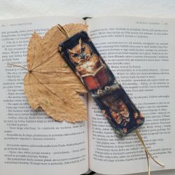 Zakładka do książki: zaczytana sowa