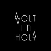 voltinholt