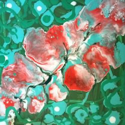Blossom 