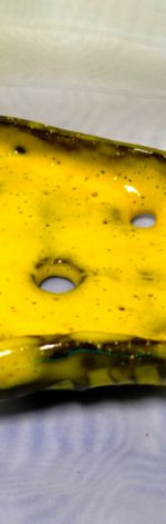 żółta mydelniczka