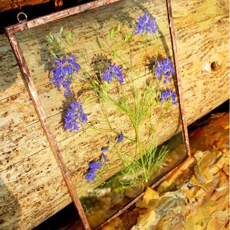 Suszone kwiaty w ramce (18cm x 24cm)