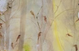 Leśne śpiewy akwarela