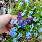 Broszka motyl - 