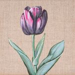 Tulipan kwiat malarstwo płótno rama drewniana - Tulipan malowany farbami akrylowymi na płótnie lnianym