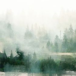 Obraz na płótnie - Las we mgle Abstrakcja - 100x70 cm  (1-0306)