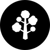 woodstories