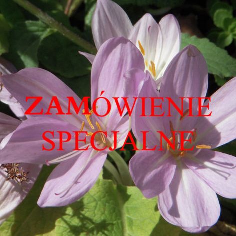 ZAMÓWIENIE SPECJALNE -pudełka na chusteczki