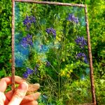 Suszone kwiaty w ramce (18cm x 24cm) - Ramka