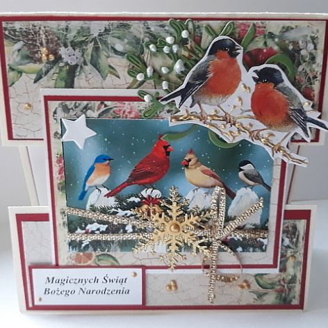 Kartka świąteczna #17 z ptaszkami