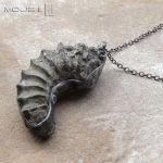 Amonit minimalistyczny - skamieniała muszla