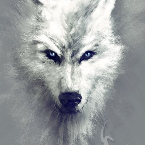 Obraz - Biały wilk - płótno - malowany