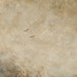 obraz "Droga" wymiary 50X60 cm - zbliżenie nieba