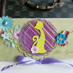 Kopertówka uniwersalna- kot w turkusach