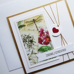 Kartka życzenia powrotu do zdrowia z ważką 