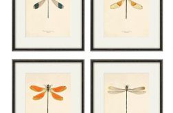 Grafika ważka motyle prezent historia natura