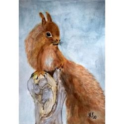 Wiewióreczka-akwarela formatu 18/25 cm 