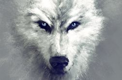 Obraz - Biały wilk - płótno - malowany