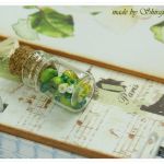 Pamiętnik- francuskie róże - 