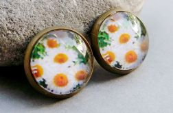 ♥ Rumianki SZTYFTY 12 mm ♥
