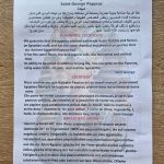 Papirus, Egipski Kot, Obraz 65x90 cm, Oryginalny 100%, Egipt, papier papirusowy 10 - 