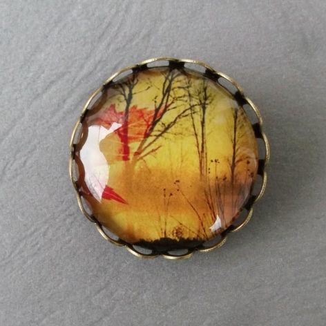 OSTATNIE DNI !!! Jesień -BROSZKA 1