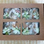 Aniołki z zieloną poinsecją  - Gotowy prezent