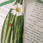 Drewniana zakładka do książki - kot w zielonej trawie - zbliżenie na grafikę
