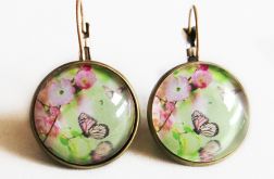 Wiosna! Kwiaty i motyle