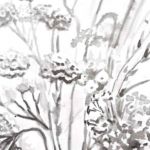 Grafika A4 czarno biała, minimalizm, kwiaty - Grafika kwiaty czarno biała