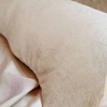 Poduszka piesek z pieskiem yorkshire terrier - poduszka piesek