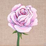 Kwiat róży namalowany na surowym płótnie - Rose on canvas