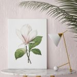 Plakat magnolia vintage 50X70 B2 - 