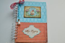 przepiśnik- turkusowa kuchnia