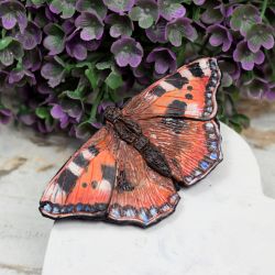 Motyl - duża broszka
