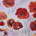 Maki polne na plotnie - 