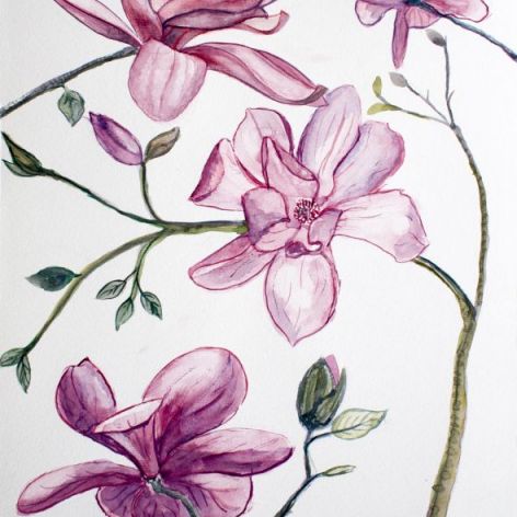 Malowana magnolia