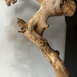 Nauralna rzeźba drewno  - Piękno naturalnego drewna