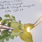 Pamiątka Chrztu prezent chrzciny paprocie - Detale