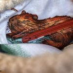 Jasna listonoszka z kominem baranek I - 