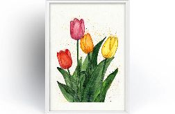 Oryginalna akwarela. Tulipany A4
