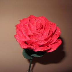 Róża różowa ze złotym brokatem