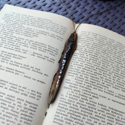 Wisior drewniany - Tonią Pisane