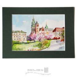 Wiosenny Wawel