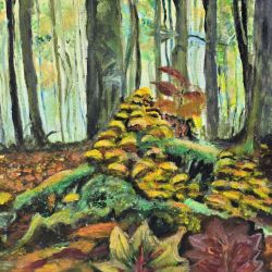 Podlasie  na płótnie,  50x50x1cm 