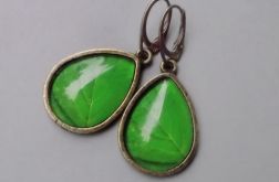 Zilony liść (kolczyki)