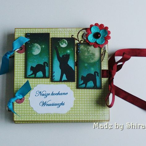 Koci folder na CD- dla P. Donaty